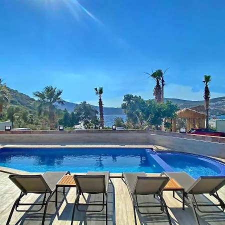 Beach Front Villa Villa