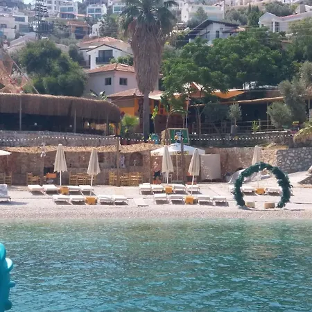 Beach Front Villa